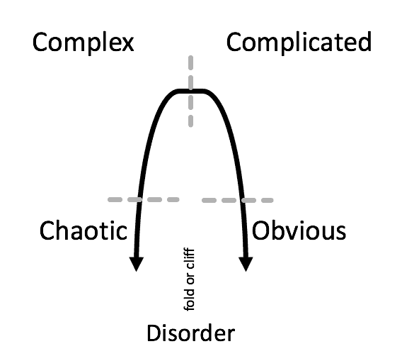 Folded View of Cynefin