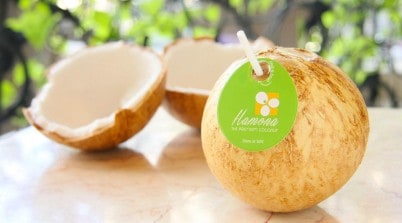 Hamona Coconuts