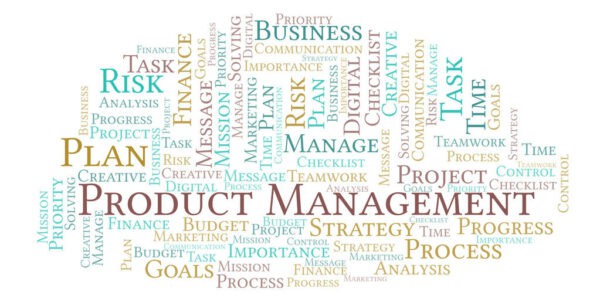 Mastering Product Management in Practice: A Real-World Guide